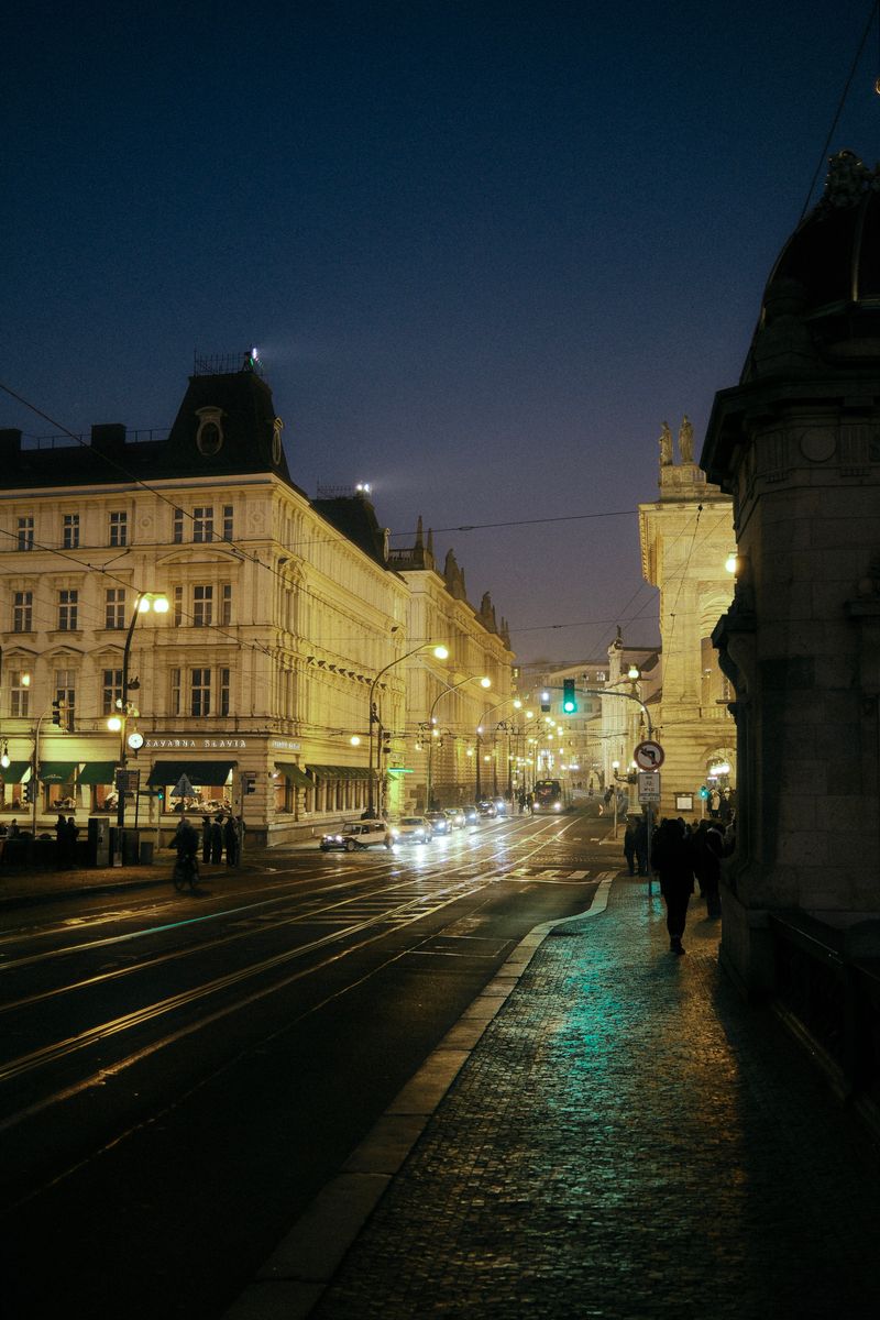 City street at night with wet tram tracks