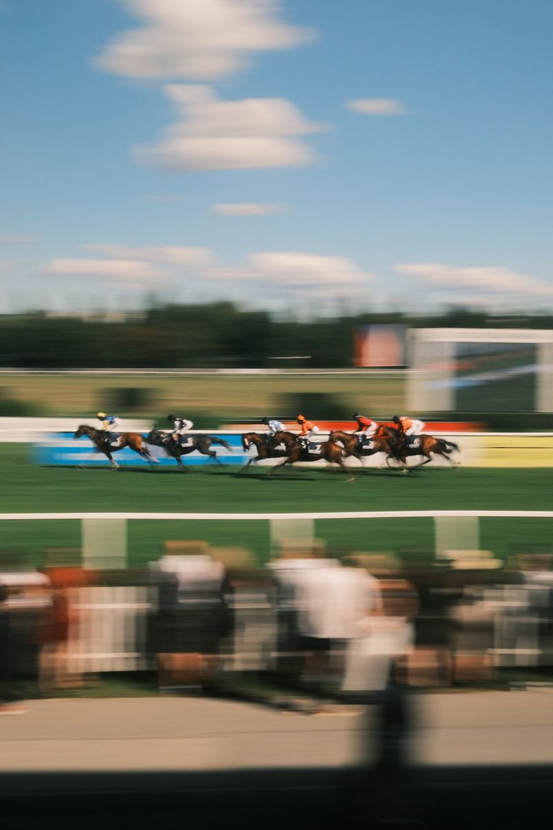 Horse race in motion blur